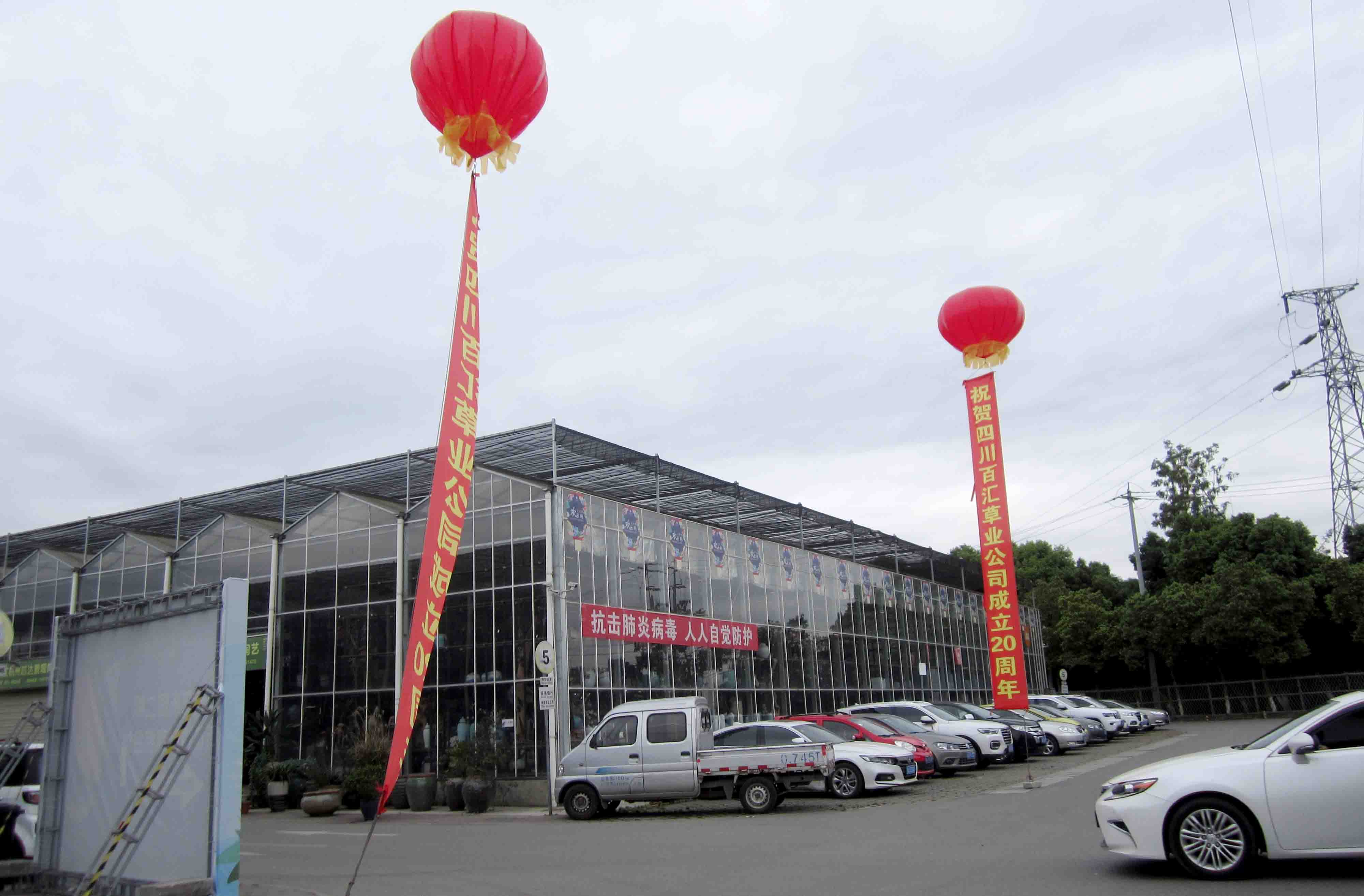 四川格?；ǚN子